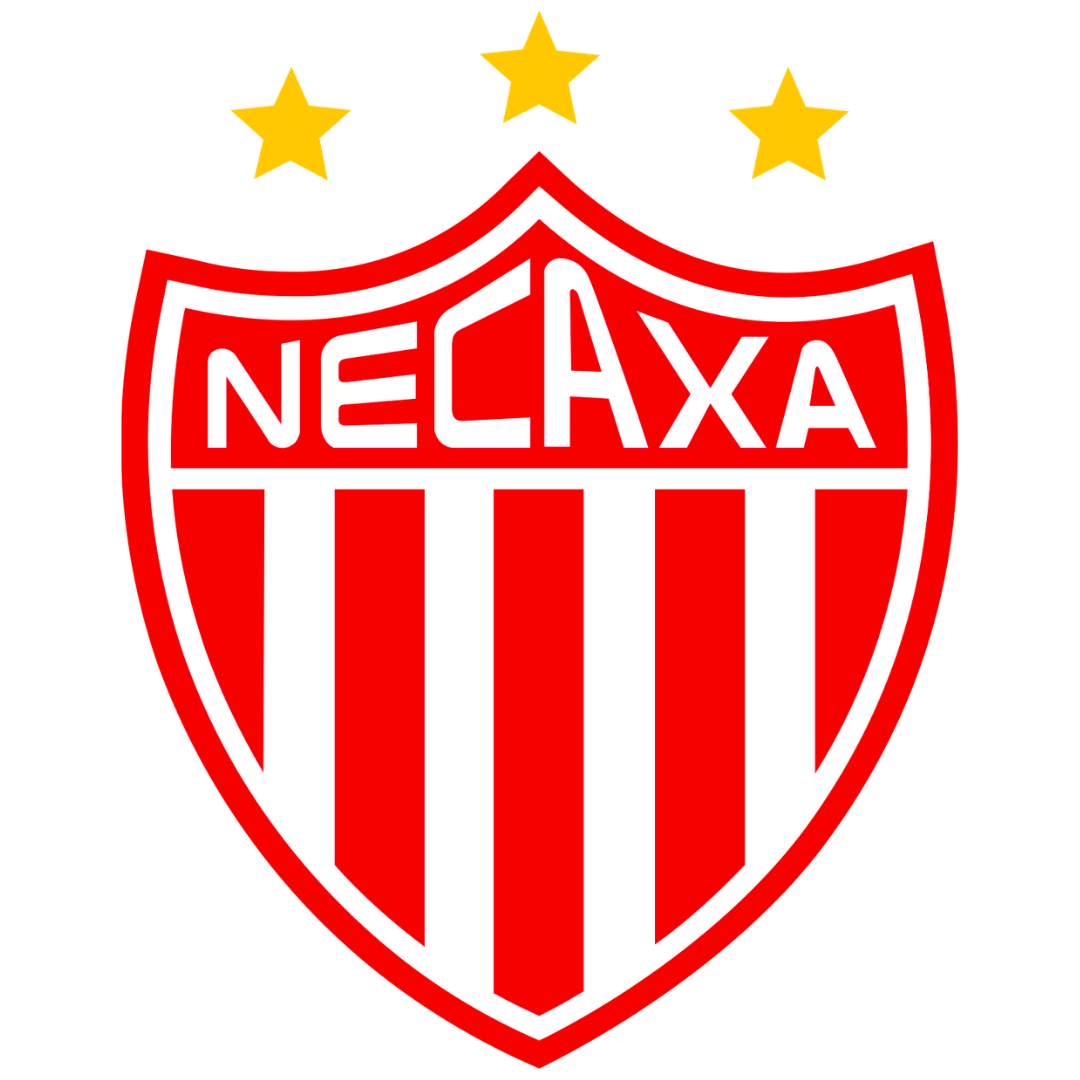 Necaza logo