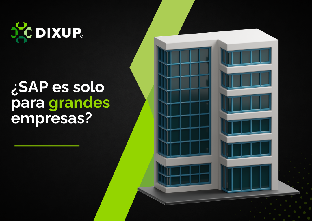 ¿SAP ES PARA EMPRESAS GRANDES